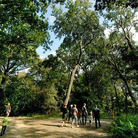 Koningshof Tatil parkı Rijnsburg