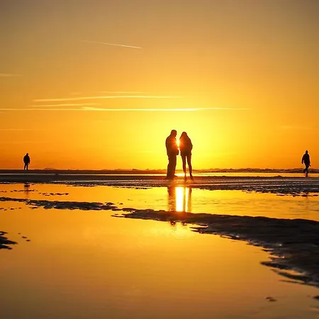 Koningshof Kompleks wypoczynkowy 4*