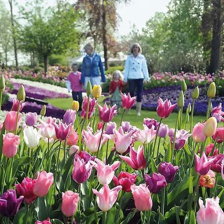 Tatil parkı Koningshof 4*
