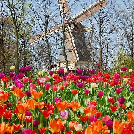 바칸티에파크 코닝쇼프