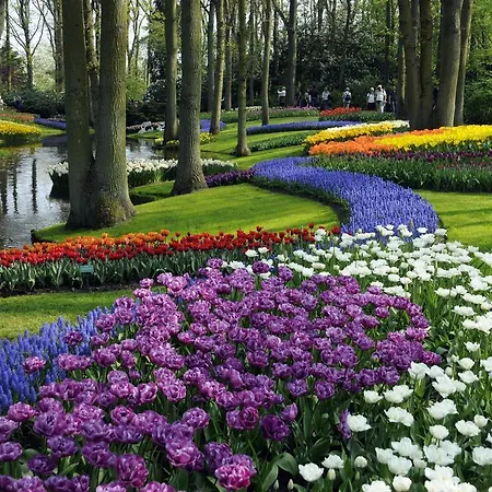 Tatil parkı Koningshof 4*