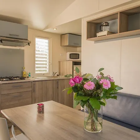 바칸티에파크 코닝쇼프