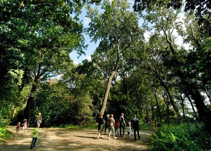 Koningshof Ferienpark Rijnsburg