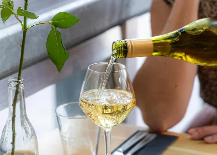 假日公园 瓦坎提帕寇宁霍假日公园 4*