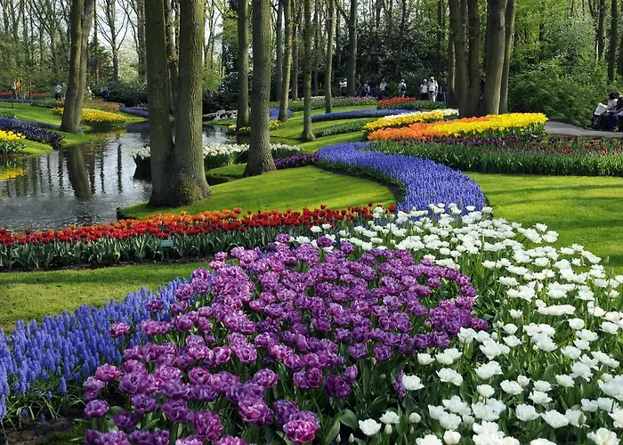 Ferienpark Koningshof 4*