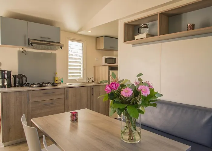 فاكانسيبارك كونينغزهوف