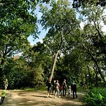 瓦坎提帕寇宁霍假日公园 假日公园 Rijnsburg