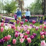 假日公园 瓦坎提帕寇宁霍假日公园 4*