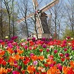 瓦坎提帕寇宁霍假日公园