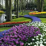 假日公园 瓦坎提帕寇宁霍假日公园 4*