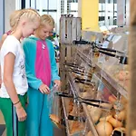 假日公园 瓦坎提帕寇宁霍假日公园 Rijnsburg