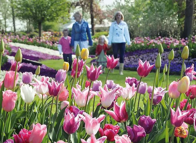 Tatil parkı Koningshof 4*