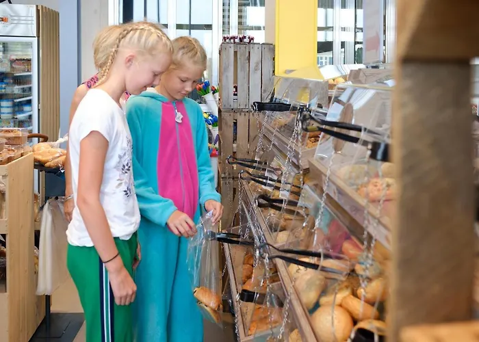 Tatil parkı Koningshof Rijnsburg